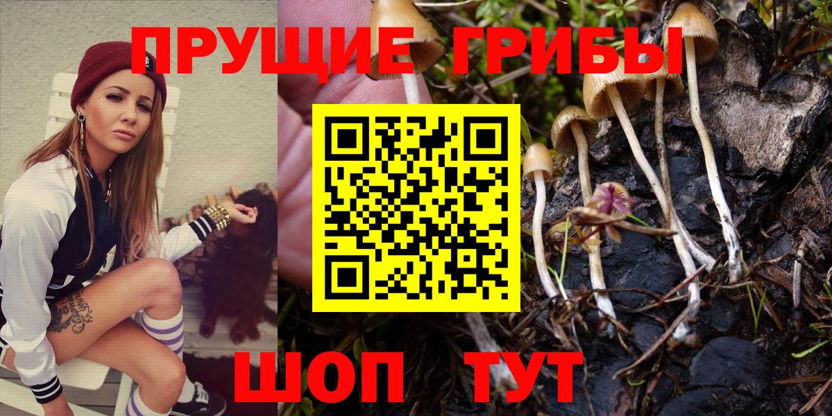 Новотроицк  Псилоцибиновые грибы мицелий  Вход с VPN  Галлюциногенные грибы мицелий 